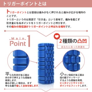 Chaperone - 05 Hybird Foam Muscle Roller 